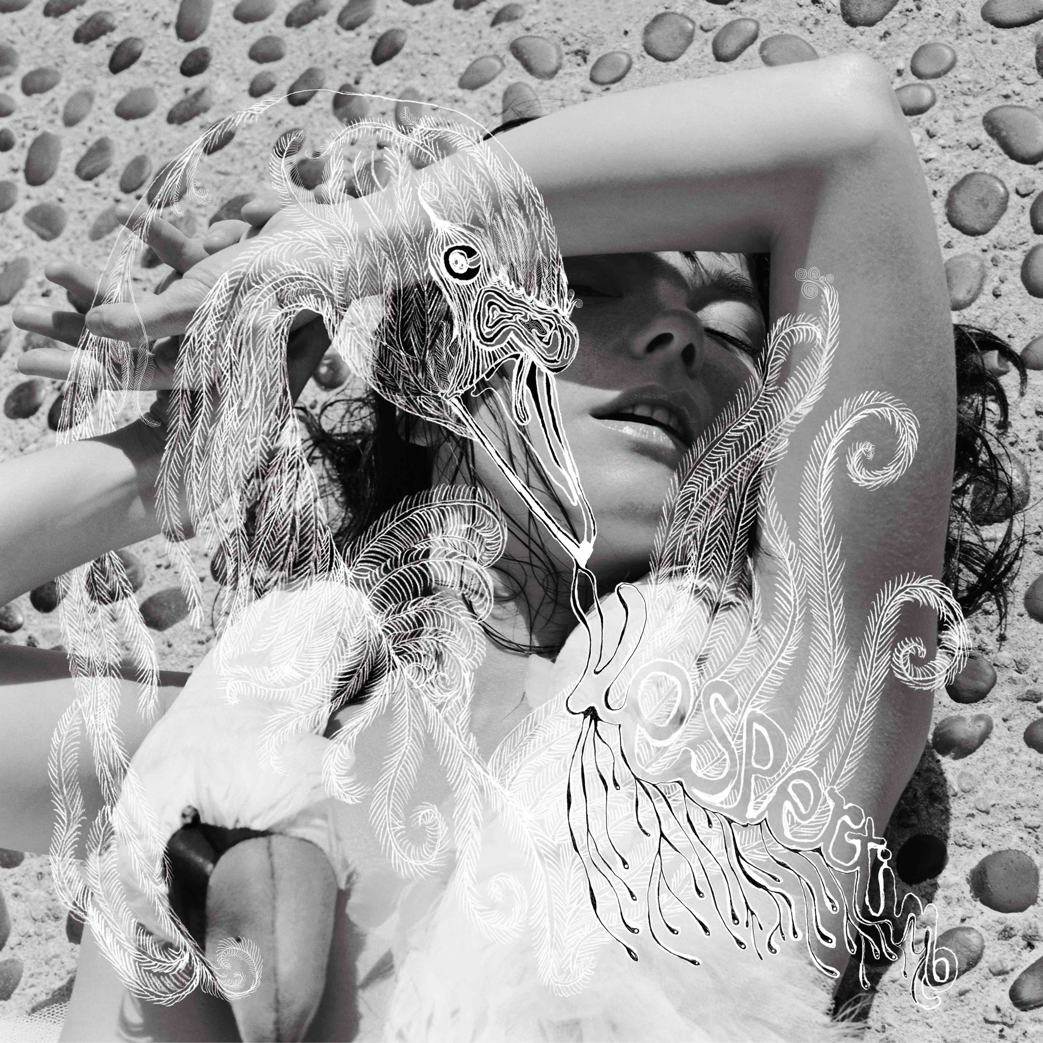 Vespertine by Björk